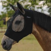Black Medium Size Pro-Tech Stretch Lycra Fly Mask