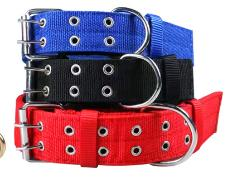 Double-Row Buckle Collar