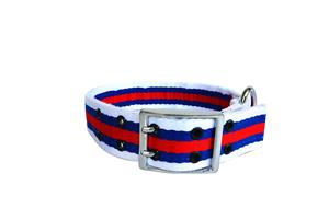 Double Buckle Collar 38mm*28cm VD-36