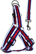 Leash and Harness 38mm*22/32cm VD-37