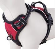 Red Dog Vest Harness H1
