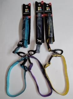 Leash and Collar