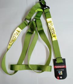 Police Leash and Harness