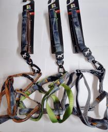 Leash and Harness