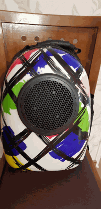 Hard Plastic Carrier for Dogs and Cats