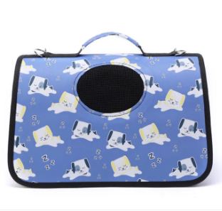 Small Blue Carry Bag