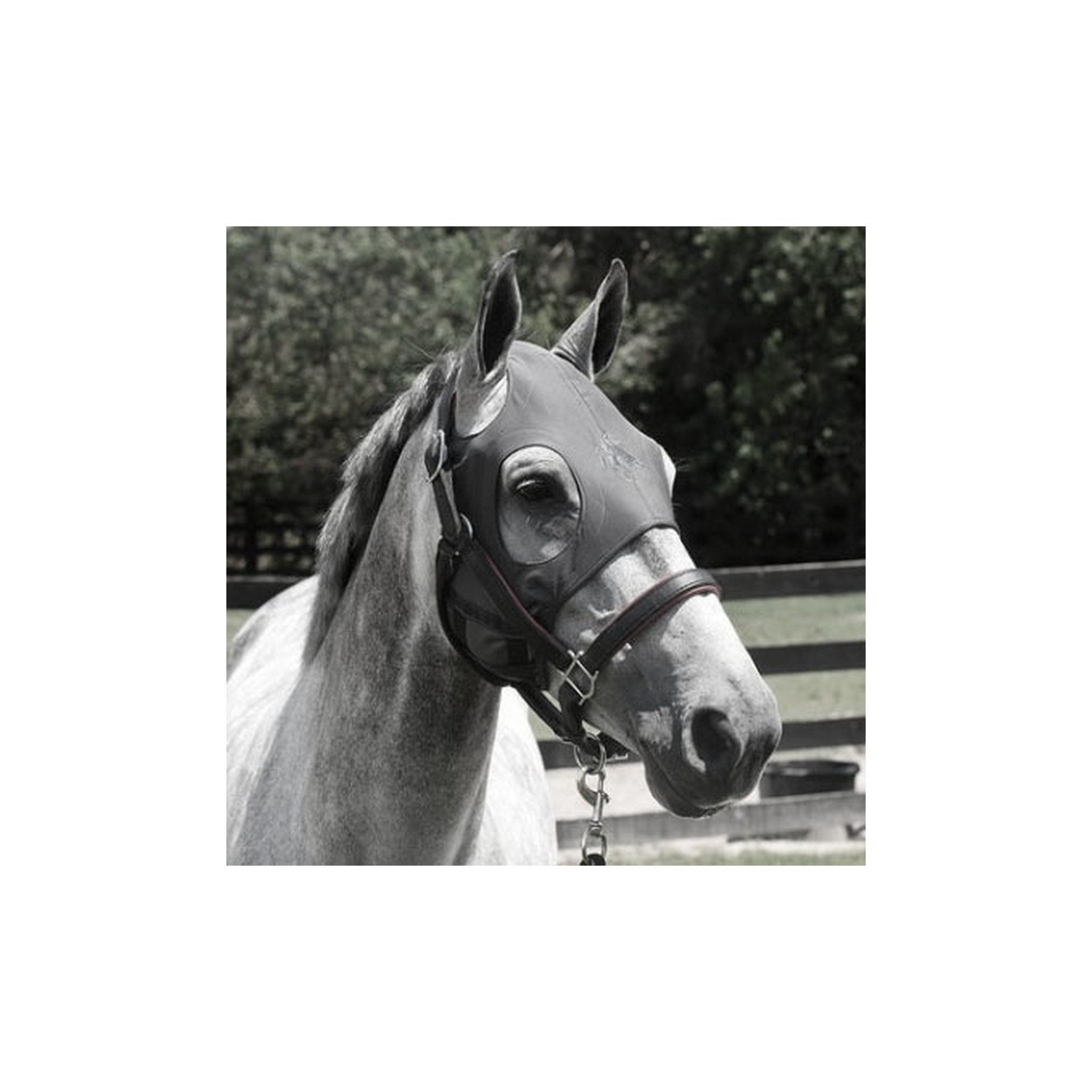 Fenwick Liquid Titanium® Mask