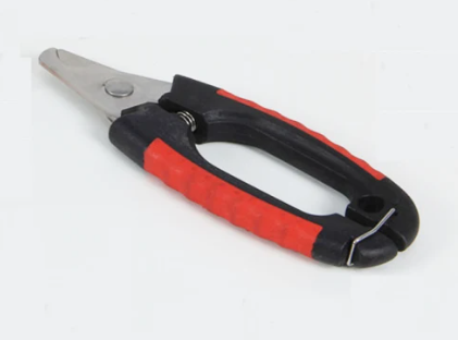 Small Nail Scissor In Blister Card