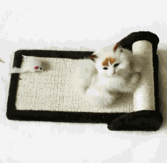 Cat Scratcher 40cm*20cm*10cm
