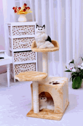 Cat Stand House 40cm*30cm*68cm