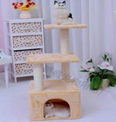 Cat Stand House 35cm*35cm*70cm