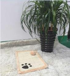 Cat Scratcher 45cm*30cm*1.4cm