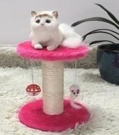 Scratching Cat Stand 20cm*20cm*22cm