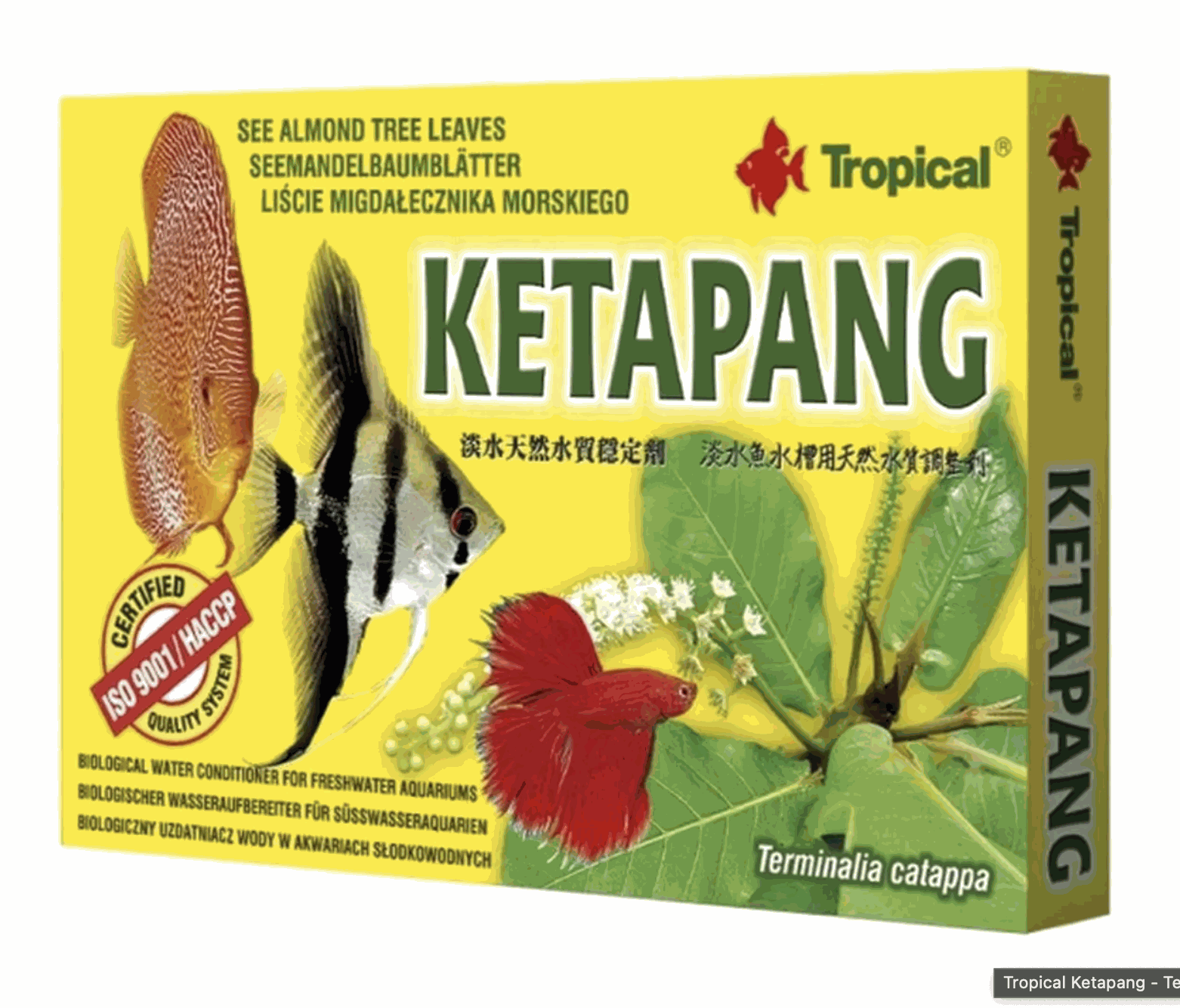 Tropical KetaPang (6 filter bags - 5 grams each)