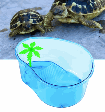 Tortoise Plastic Tank 20.5cm*15.5cm*10cm