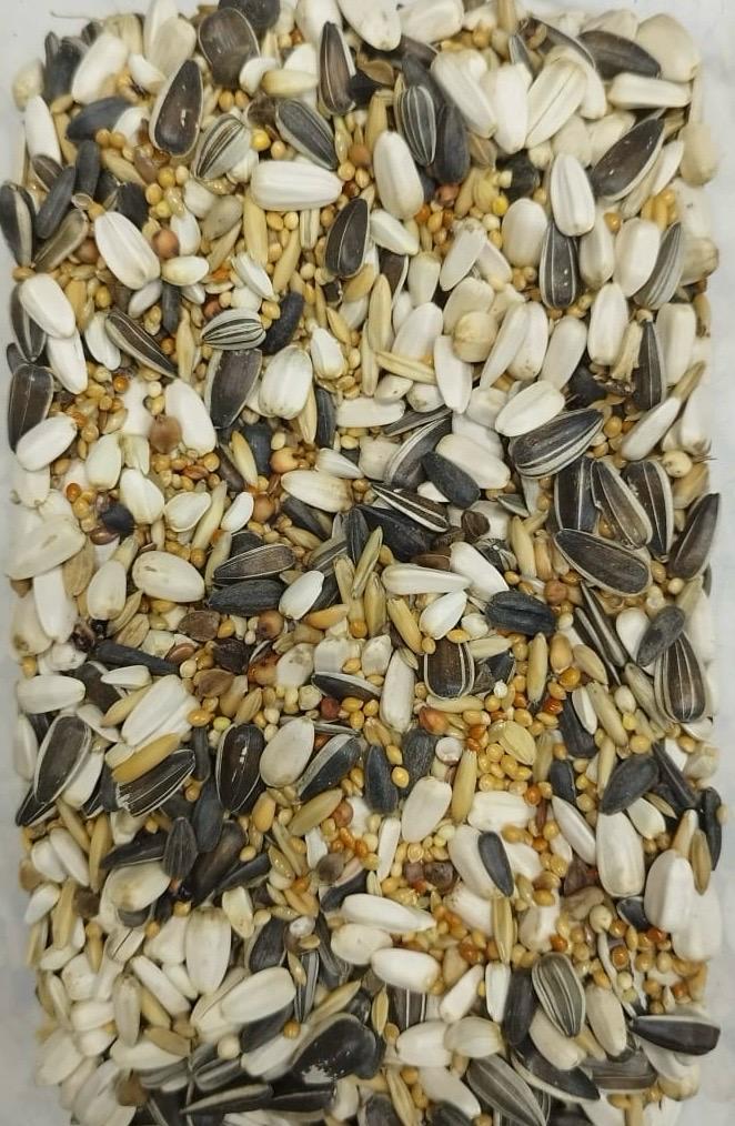 Multiple Seeds Mix-1kg