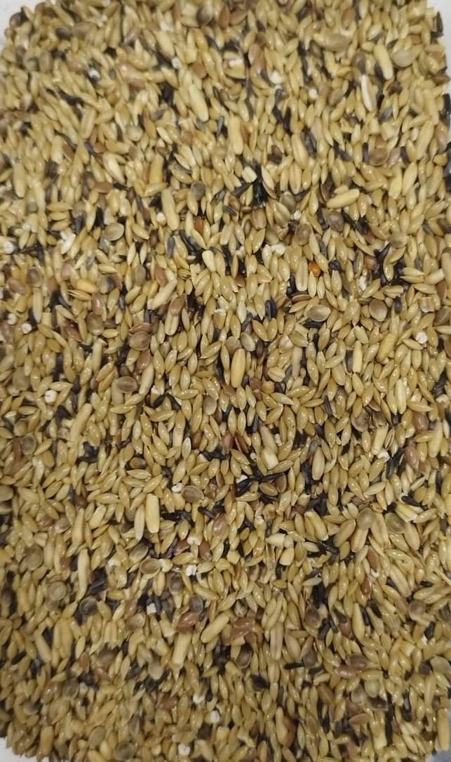 Seeds Mix-1kg