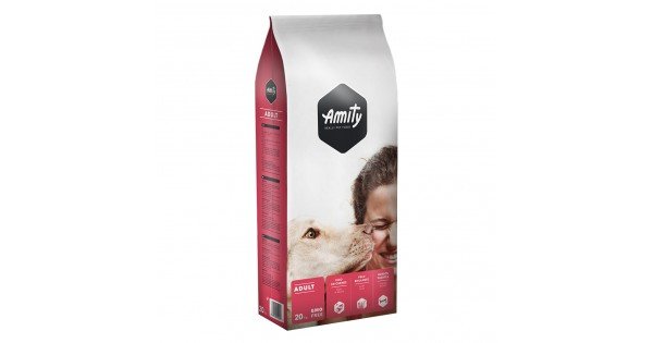 Amity Adult Dog