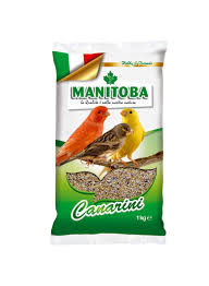 CANARINI T 1 biscuit