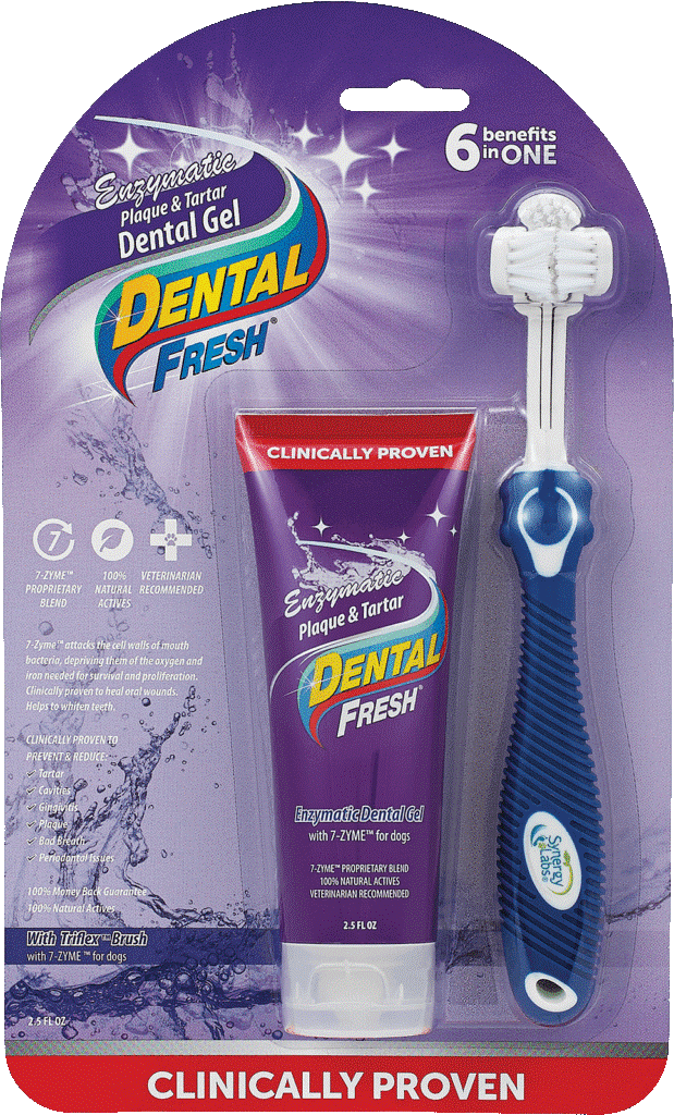 Dental Fresh Enzymatic Gel With ToothBrush Kit 74ML
