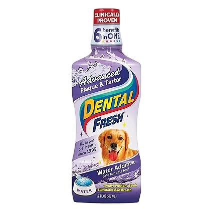Dental Fresh For Dogs 503ml
