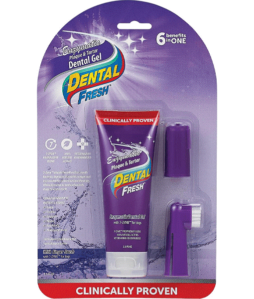Dental Fresh With Finger Brush