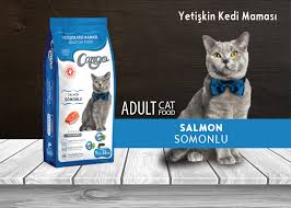 Cango Adult Cat Food Salmon