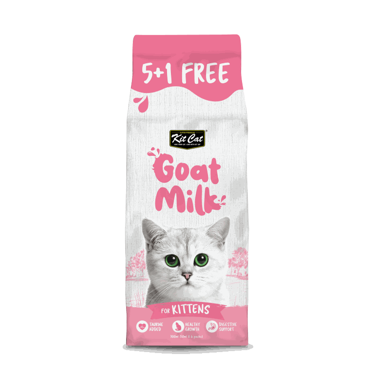 Kit Cat Daily Supplement Gel 120g Skin & Coat