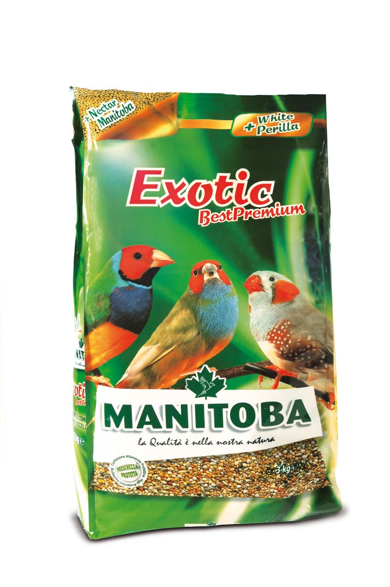 Manitoba Exotic Best Premium - 1kg