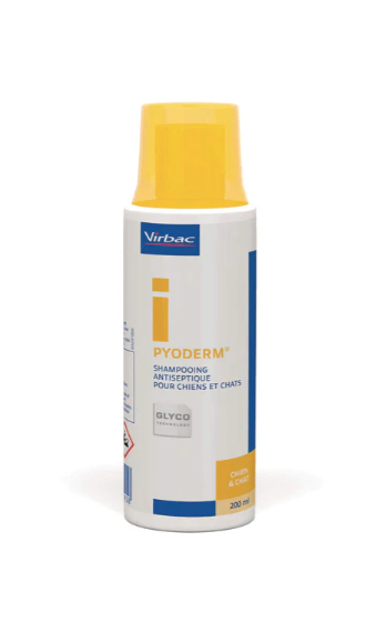 Antiseptique Shampooing Pyoderm 200ml