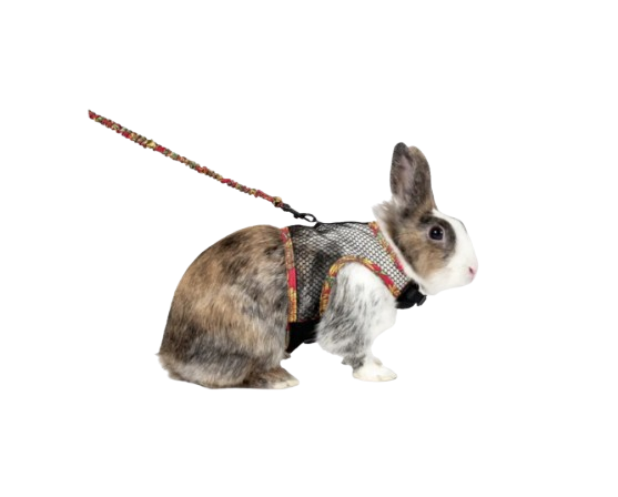 Flamingo Rabbit Harness & Leash