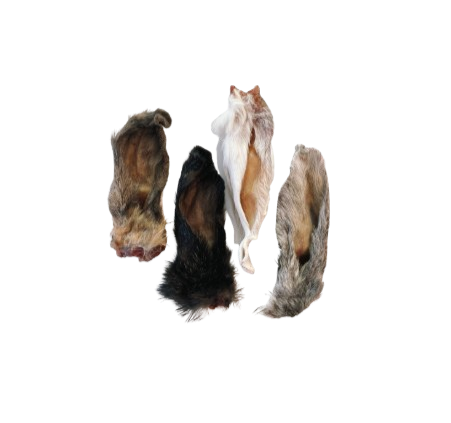 Rabbit Ears Treats 4pcs