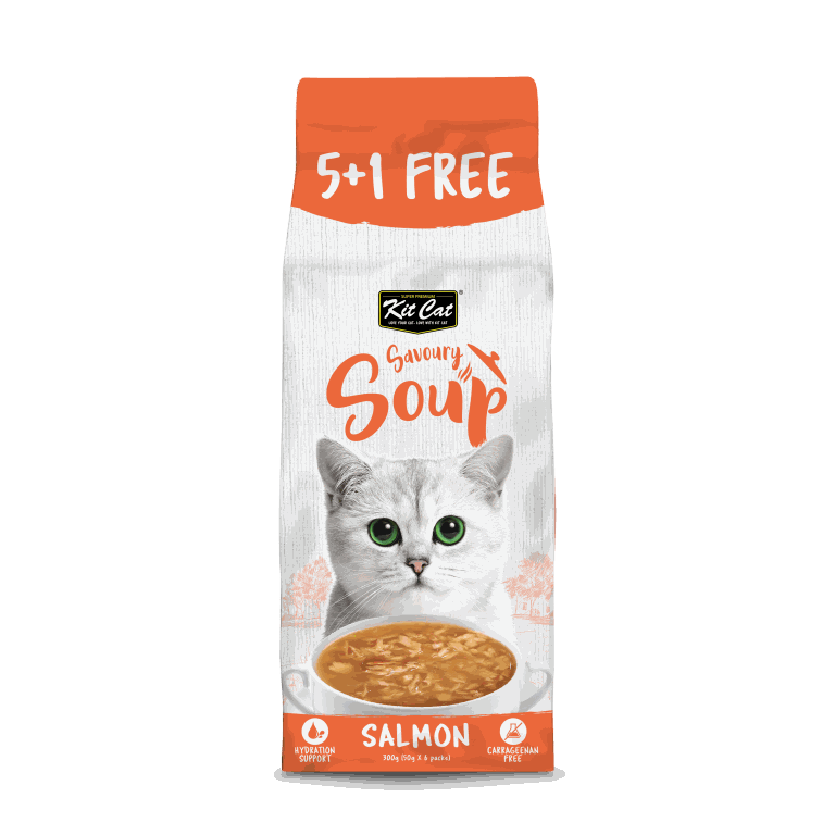 Kit Cat Savoury Soup Salmon 300g ( 6 X 50g )