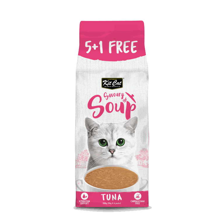 Kit Cat Savoury Soup Tuna 300g (6 X 50g )
