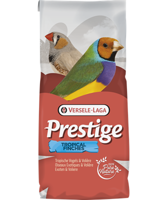 Tropical Finches Australian Waxbills - 20Kg