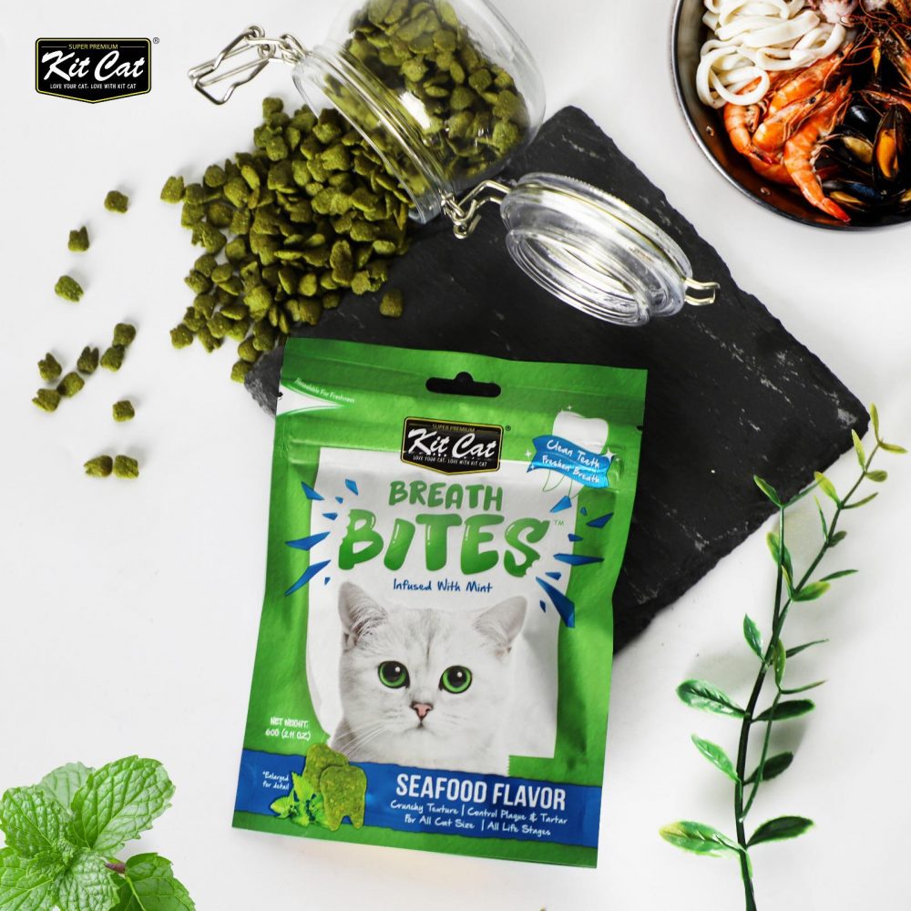 KIT CAT BreathBites 60g Tuna Flavor x6