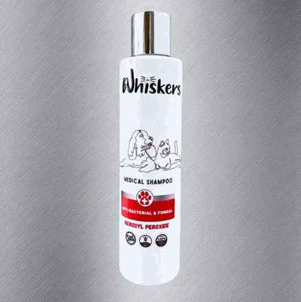 Whiskers Pet Shampoo – Fungal Care Formula