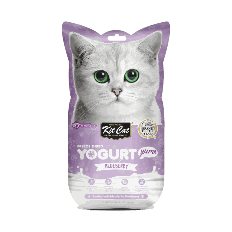 Kit Cat FD Yogurt Yums Blueberry 10 counts x 1g