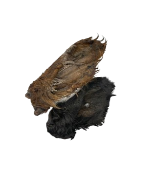 Beef Ears Treats 2pcs