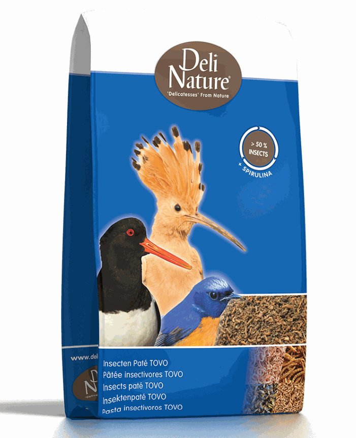 Deli Nature Insects Pattee - 500g