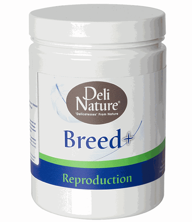 Deli Nature Breed Plus - 500g