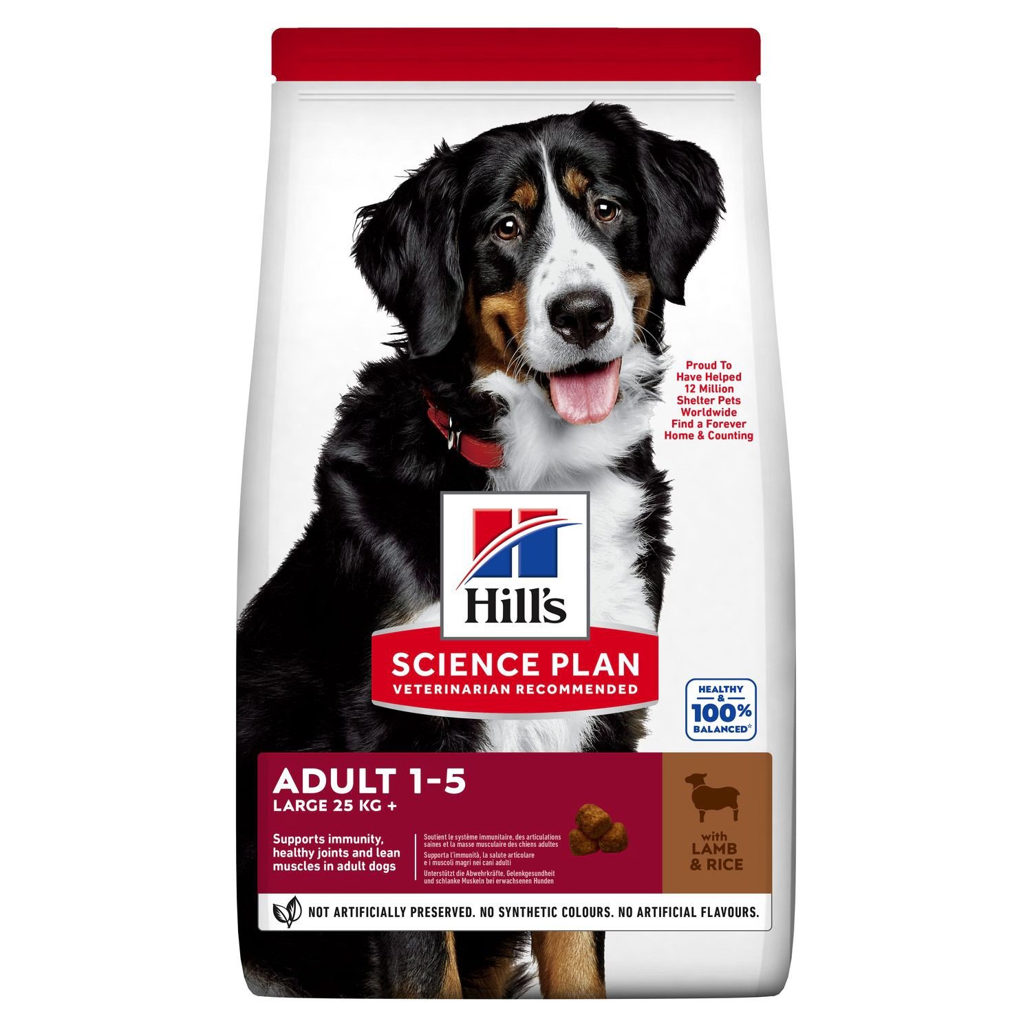 Large breed adult dog food with lamb rice - 14kg