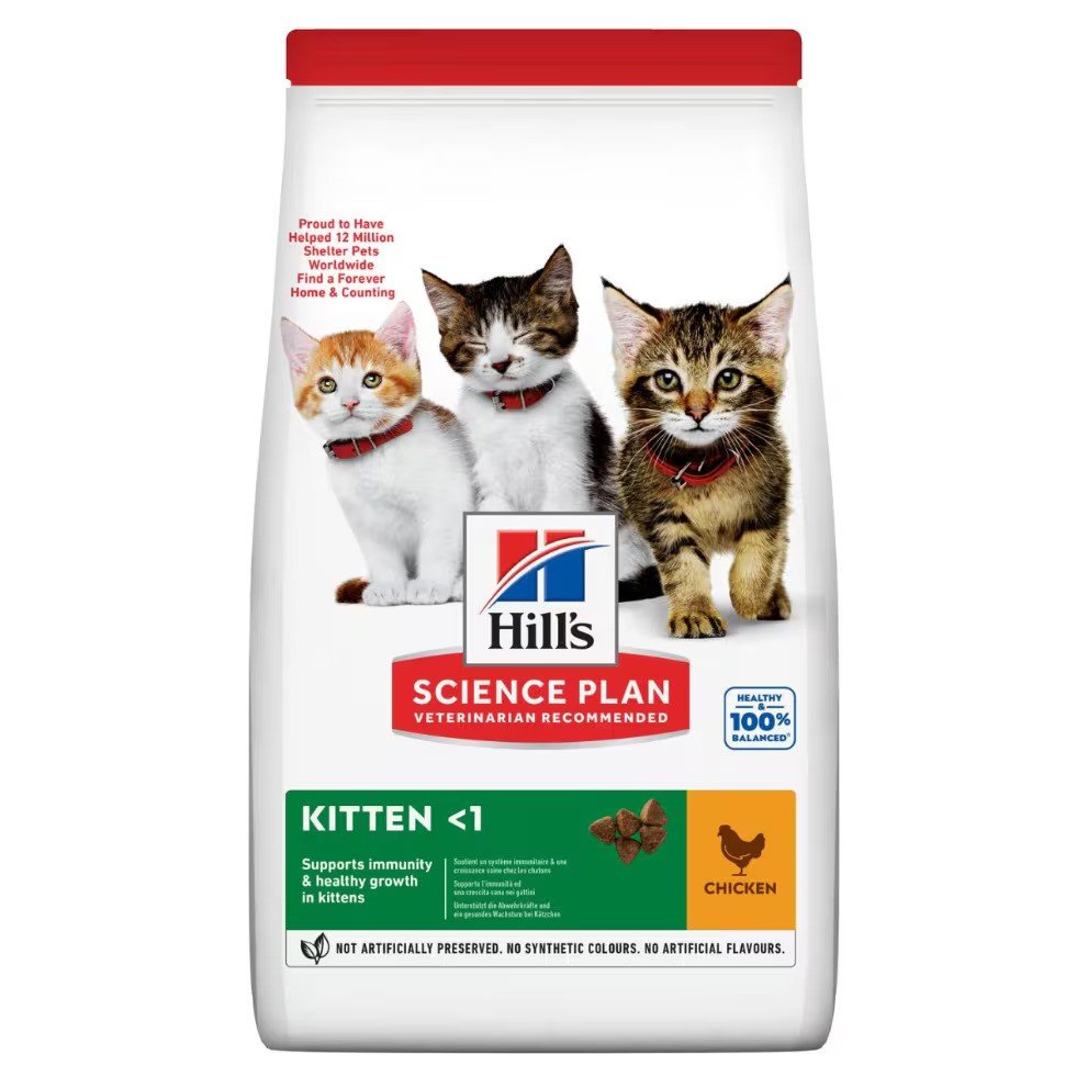 Kitten food with chicken