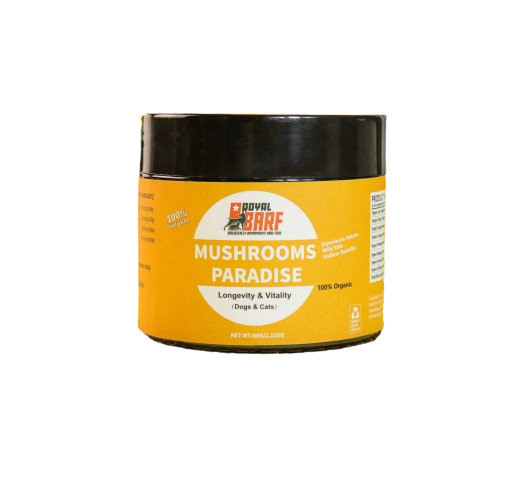 Mushrooms Paradise Super Food 60g