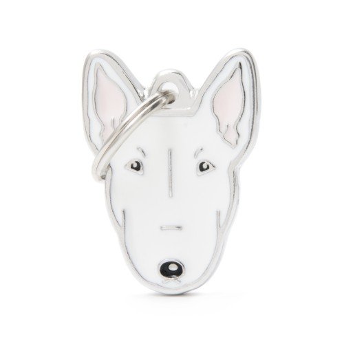 MY-Black and White Bull Terrier