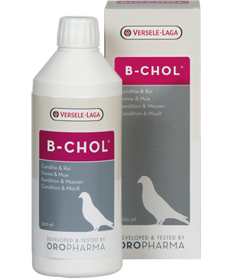Versele-Laga Oropharma B-Chol 50ml
