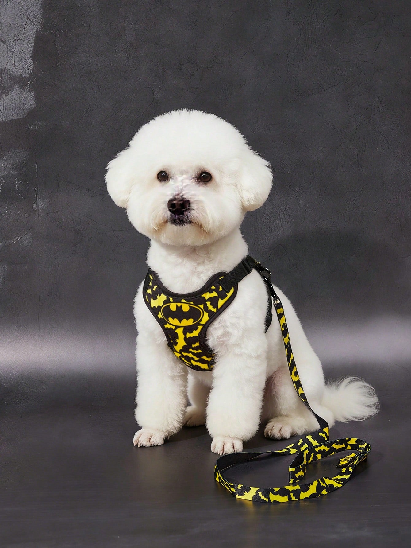 Batman Pet Harness & Leash Set for Cats & Small Dogs