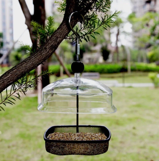 Meal Worm & Suet Feeder