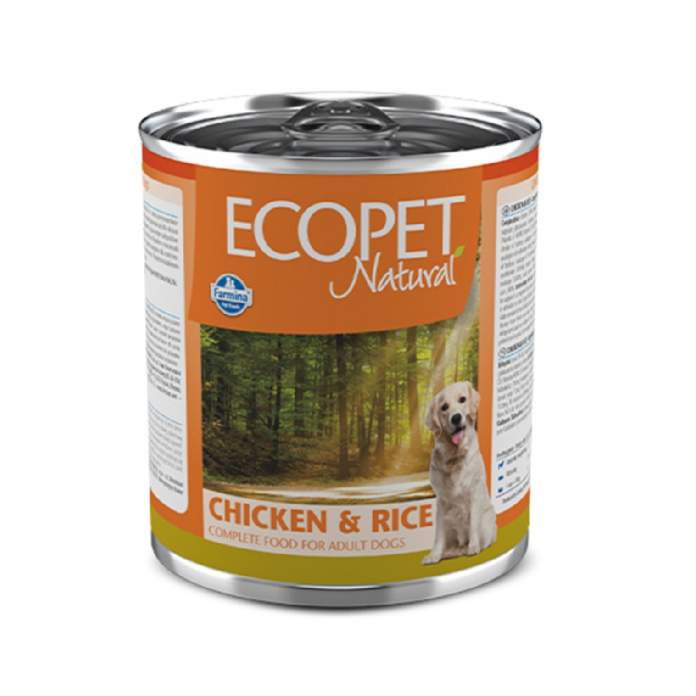 EcoPet Natural Chicken & Rice Wet Food 300g