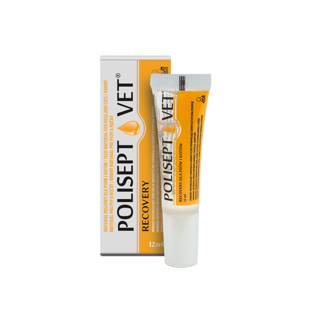 POLISEPT VET® RECOVERY 12ml